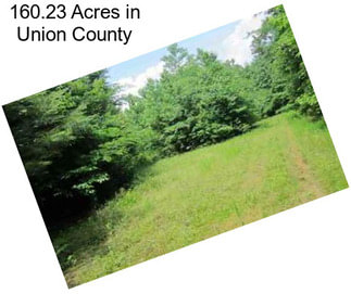 160.23 Acres in Union County