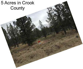 5 Acres in Crook County