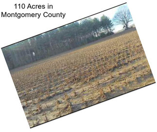 110 Acres in Montgomery County