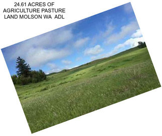 24.61 ACRES OF AGRICULTURE PASTURE LAND MOLSON WA  ADL