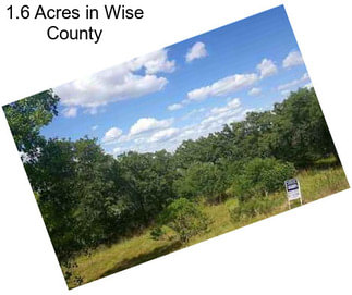 1.6 Acres in Wise County