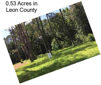 0.53 Acres in Leon County