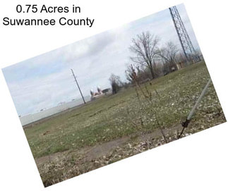 0.75 Acres in Suwannee County