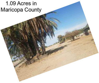 1.09 Acres in Maricopa County