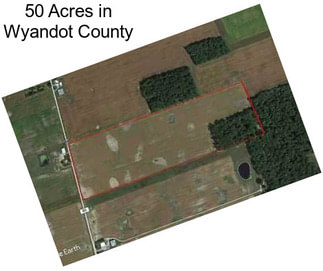 50 Acres in Wyandot County