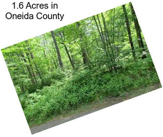 1.6 Acres in Oneida County