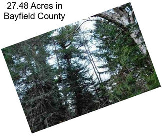 27.48 Acres in Bayfield County