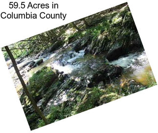 59.5 Acres in Columbia County