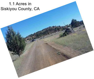 1.1 Acres in Siskiyou County, CA