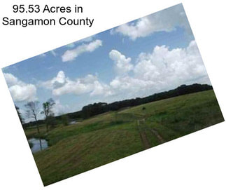 95.53 Acres in Sangamon County