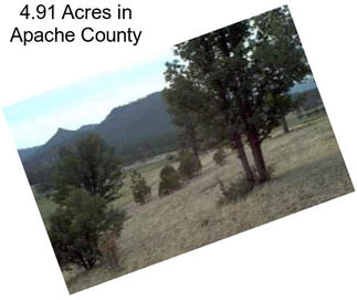 4.91 Acres in Apache County