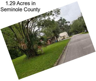 1.29 Acres in Seminole County