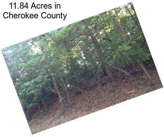 11.84 Acres in Cherokee County