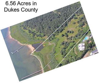 6.56 Acres in Dukes County