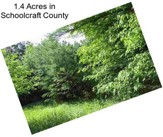 1.4 Acres in Schoolcraft County