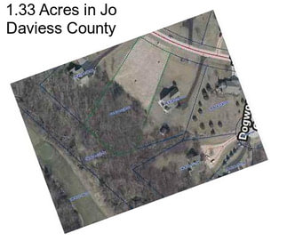 1.33 Acres in Jo Daviess County