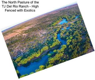 The North Pasture of the TJ Del Rio Ranch - High Fenced with Exotics