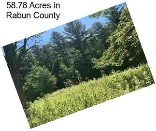 58.78 Acres in Rabun County
