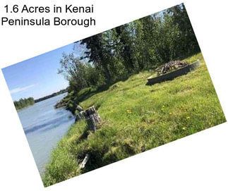 1.6 Acres in Kenai Peninsula Borough