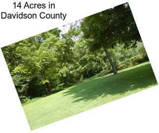 14 Acres in Davidson County