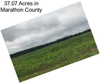 37.07 Acres in Marathon County