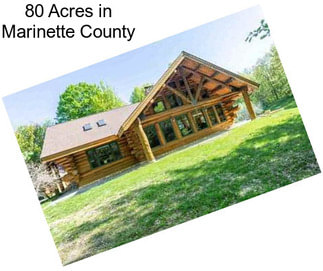 80 Acres in Marinette County