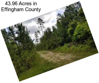 43.96 Acres in Effingham County
