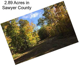 2.89 Acres in Sawyer County