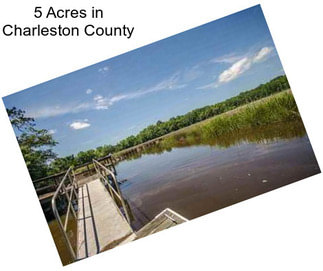 5 Acres in Charleston County