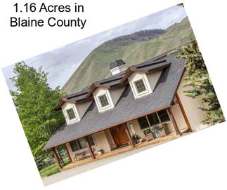 1.16 Acres in Blaine County