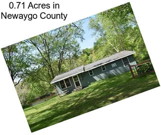 0.71 Acres in Newaygo County