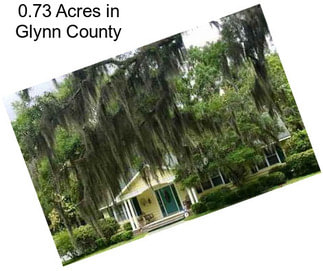 0.73 Acres in Glynn County
