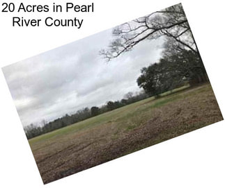 20 Acres in Pearl River County