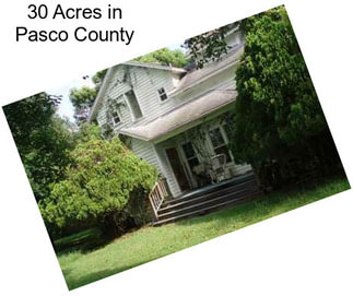 30 Acres in Pasco County