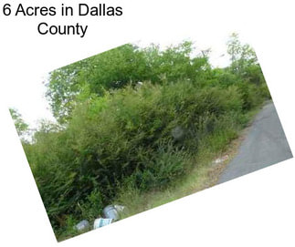 6 Acres in Dallas County