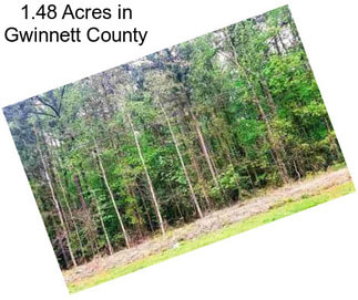 1.48 Acres in Gwinnett County