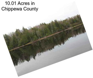 10.01 Acres in Chippewa County
