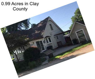 0.99 Acres in Clay County