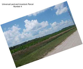 Universal Land and Livestock Parcel Number 4