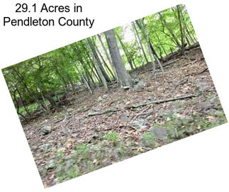 29.1 Acres in Pendleton County