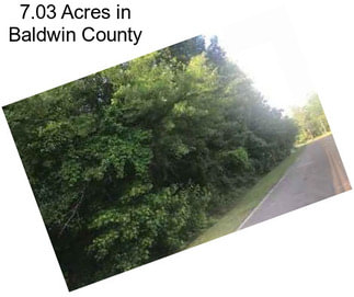 7.03 Acres in Baldwin County