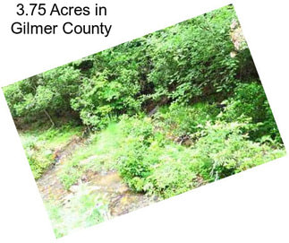 3.75 Acres in Gilmer County