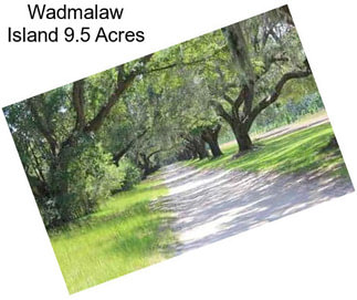 Wadmalaw Island 9.5 Acres