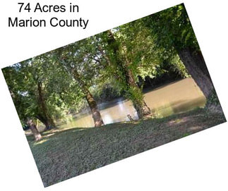 74 Acres in Marion County