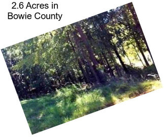 2.6 Acres in Bowie County