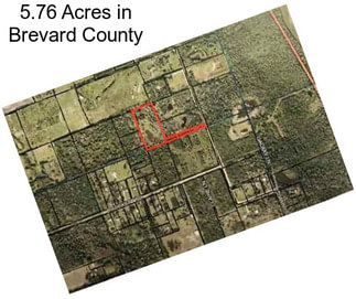 5.76 Acres in Brevard County
