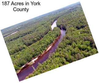 187 Acres in York County