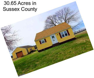 30.65 Acres in Sussex County