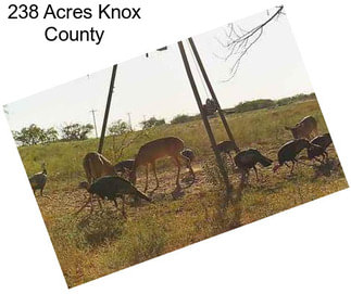 238 Acres Knox County