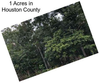 1 Acres in Houston County